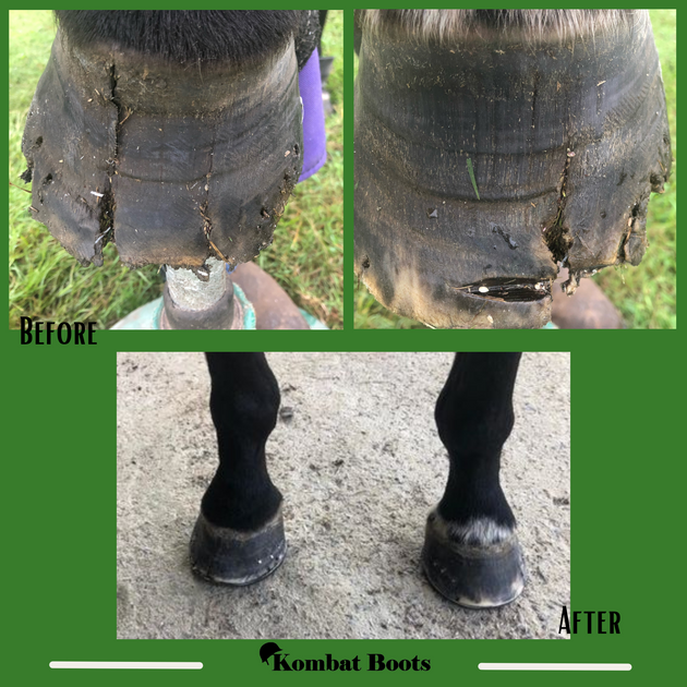 Farrier Recommended Your Product and I'm Absolutely Thrilled – Kombat Boots